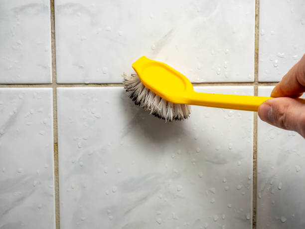 Best Home Mold Removal  in Coleytown, CT